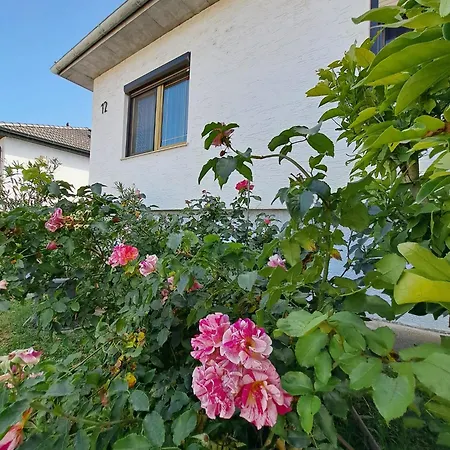 Apartment Anna - Austrian Country House In Marchfeld Im Weinviertel Marchegg Exterior photo