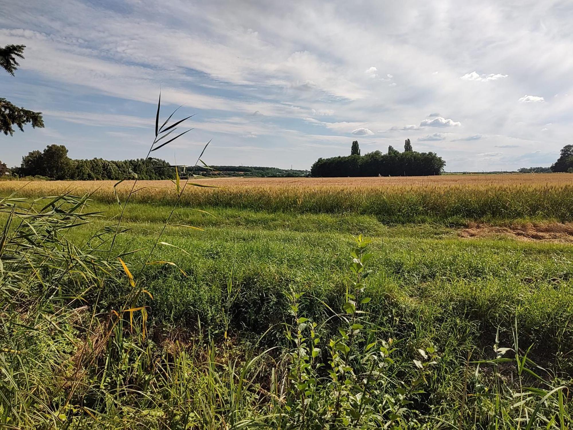 Holiday home Anna - Austrian In Marchfeld Im Weinviertel *