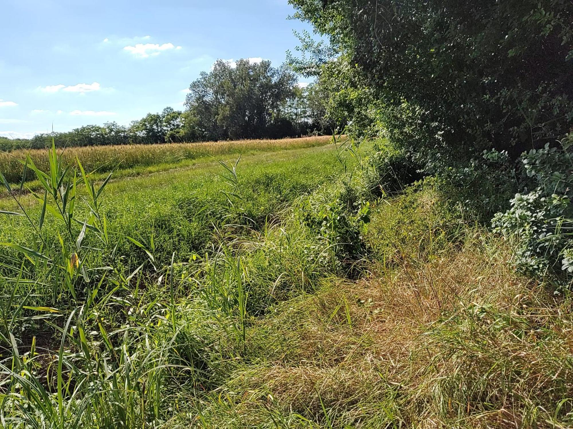 Holiday home Anna - Austrian In Marchfeld Im Weinviertel *