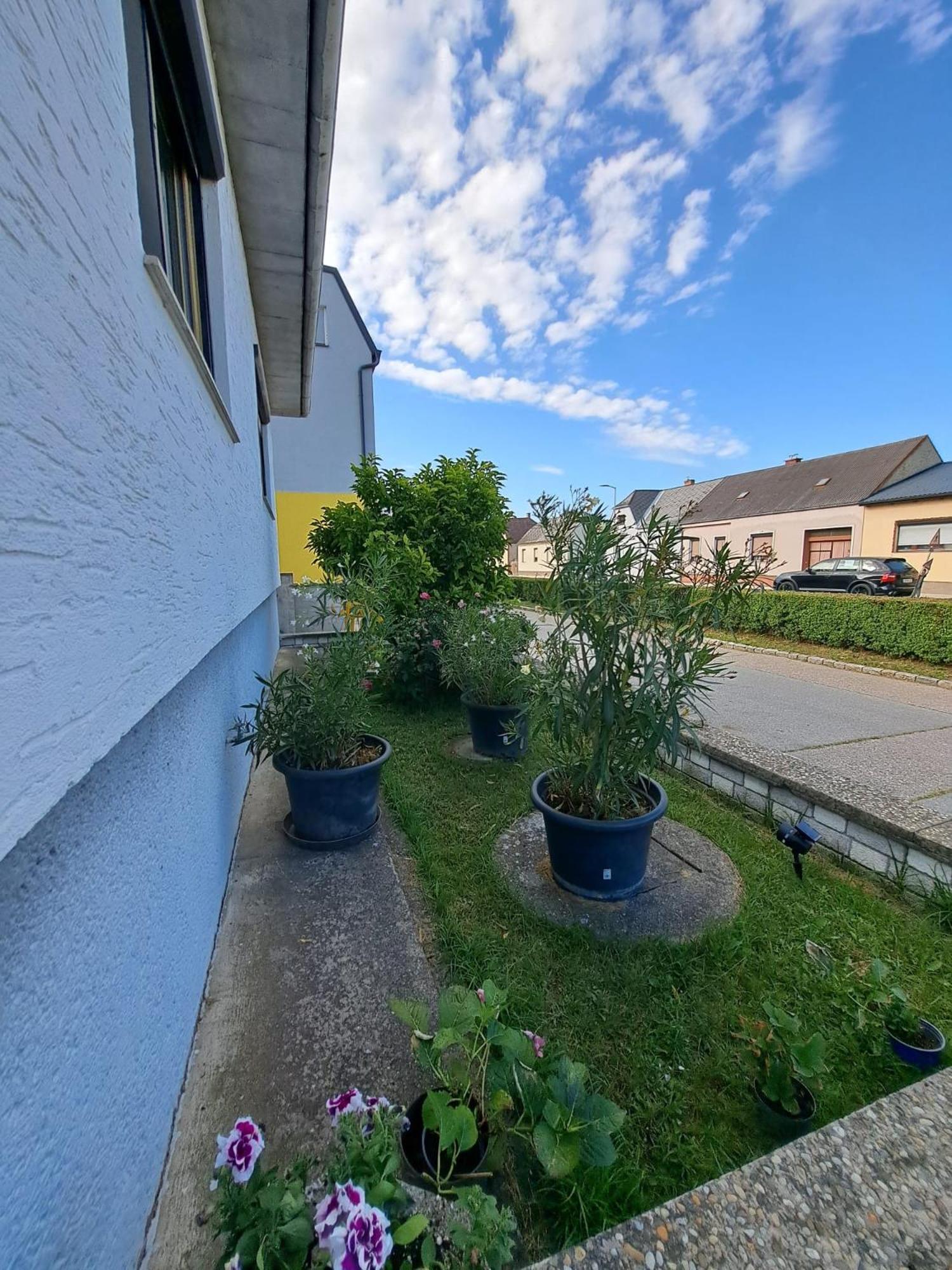 Anna - Austrian In Marchfeld Im Weinviertel Holiday home Marchegg