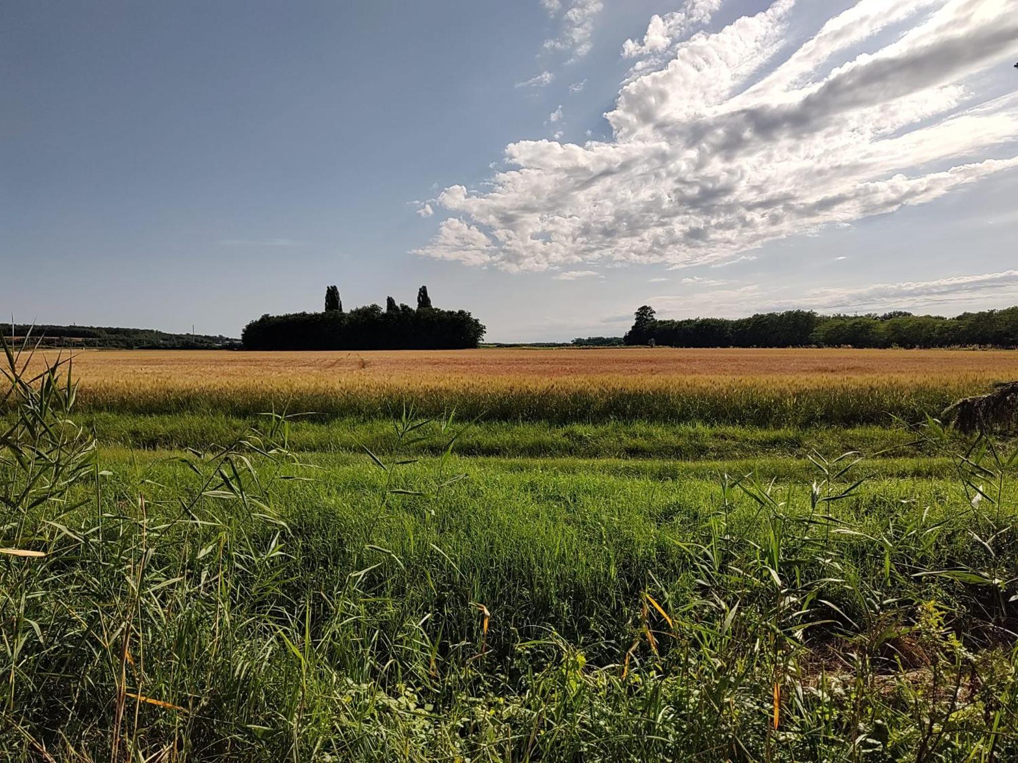 Anna - Austrian In Marchfeld Im Weinviertel