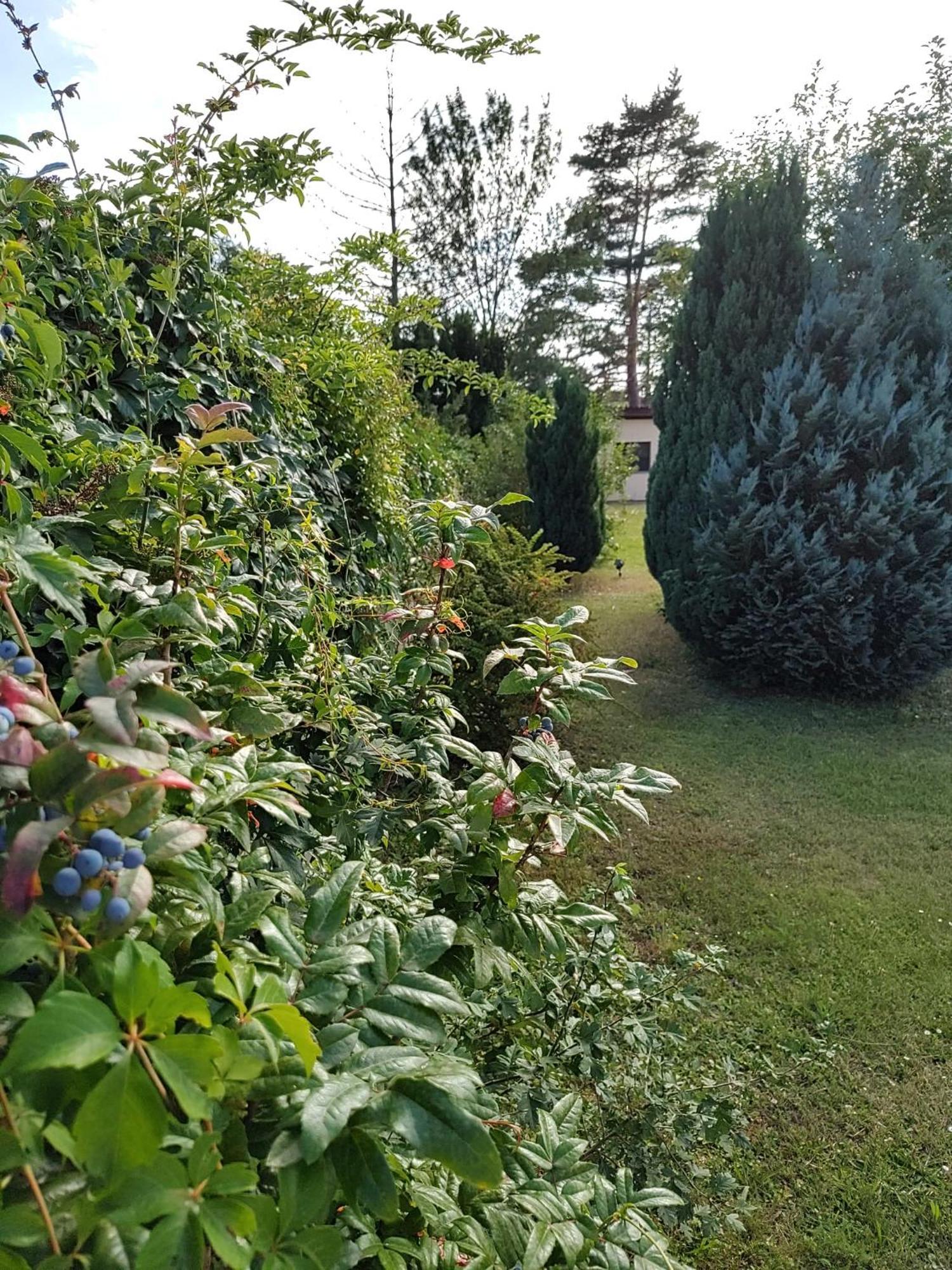 Holiday home Anna - Austrian In Marchfeld Im Weinviertel *