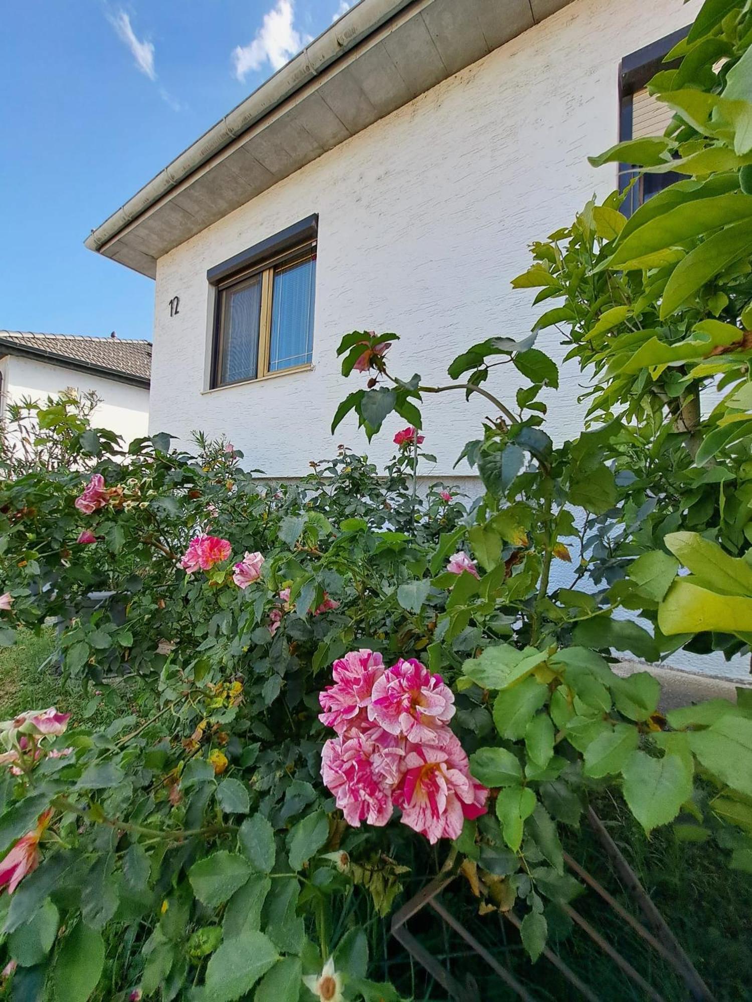 Anna - Austrian In Marchfeld Im Weinviertel